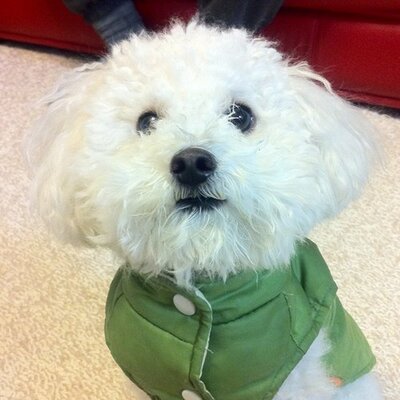 Profile Picture of Lu Weijie (@Weijie59) on Twitter