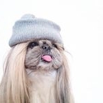 Profile Picture of avery (@averyfeedcheck) on Instagram