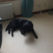 Profile Picture of David Cassels (Dave) (@davidcassels9706) on Youtube