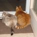 Profile Picture of Karin Starnes (@karin.starnes) on Facebook