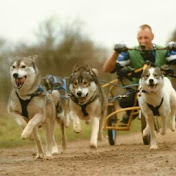 Profile Picture of Martin Owen (@Keilogomartin) on Youtube