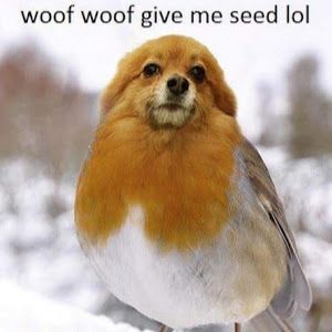 Profile Picture of Jim Fitch631 (@itouzumaki) on Tiktok