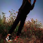 Profile Picture of Mohamed hamidi (@midou_ha_03) on Instagram