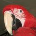 Profile Picture of Deborah Shell (@wovertherainbow) on Pinterest