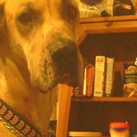 Profile Picture of Timothy Hebert (@timothy-hebert-1) on Quora