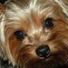 Profile Picture of Cheri Allen (@libby111) on Pinterest