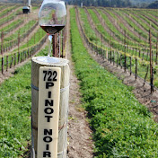 Profile Picture of Jason Stillman (@jasonstillman9451) on Youtube