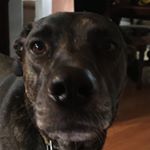 Profile Picture of Evan Stout (@stout12023) on Instagram