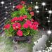 Profile Picture of Marcile Luetters (@marcile.luetters.1) on Facebook