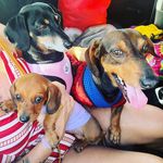 Profile Picture of riahanna fred mercury e cindy lauper (@vilma202222) on Instagram