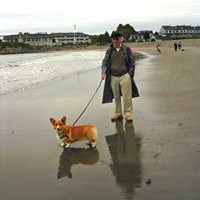 Profile Picture of Joel Silverberg (@joel-silverberg-1) on Quora