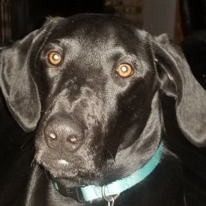 Profile Picture of Casey Beauchamp (@CaseyBeauchamp7) on Twitter