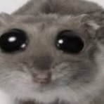 Profile Picture of Michał Rudowicz (@Michał-Rudowicz) on Facebook