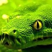 Profile Picture of Nguyen Giao (@nguyen-giao) on Quora