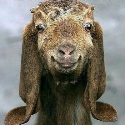 Profile Picture of Blake Laliberte (@BlakeLaliberte) on Twitter