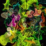 Profile Picture of Steiner Mark (@mark_steiner_art) on Instagram