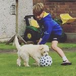 Profile Picture of Peter Geraghty (@peter_geraghty_06) on Instagram