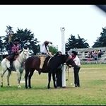 Profile Picture of Juan Carlos Varas (@juancarlos.varas.56) on Instagram