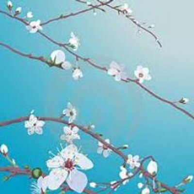 Profile Picture of Lucy Garces Melo (@lucycalidad) on Twitter