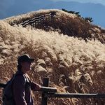 Profile Picture of hae young kim (@pusulrim_calli) on Instagram