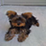 Profile Picture of Richard Gray (@richardkgray925) on Flickr