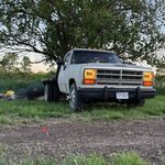 Profile Picture of Brian Cushman (@lil_cush44) on Instagram
