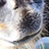 Profile Picture of Ian.Wilkins (@Ian.Wilkins) on Flickr