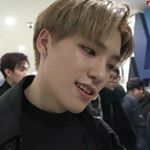 dino┊ xian murphy - Instagram Profile Picture of dino┊ xian murphy (@xianphy) on Instagram