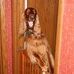 Profile Picture of Craig Hatch (@craig.hatch.3152) on Facebook