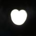 Profile Picture of Mojca Rebernikar (@mojca.rebernikar) on Facebook