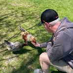 Profile Picture of Richard Wayne (@Richard-Wayne) on Facebook