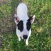 Profile Picture of Lisa Wadel (@lisa.wadel.56) on Facebook