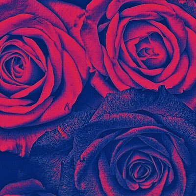 Profile Picture of Nicholas Cordero (@NCordeto) on Twitter