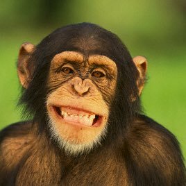 Profile Picture of John Faraday (@johnfaraday700) on Twitter