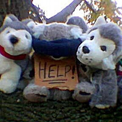 Profile Picture of Kevin Reigner (@kevinreigner19) on Twitter