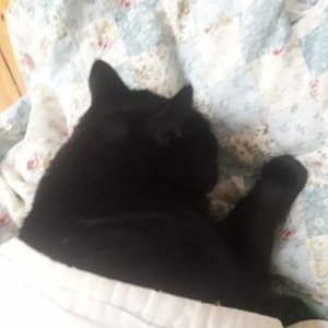 Profile Picture of Stephen Mould (@StephenMould6) on Twitter