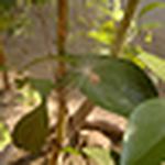 Profile Picture of Vinod Singh (@mathsvinu) on Flickr