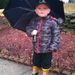 Profile Picture of Dawn Borger (@dborger) on Pinterest