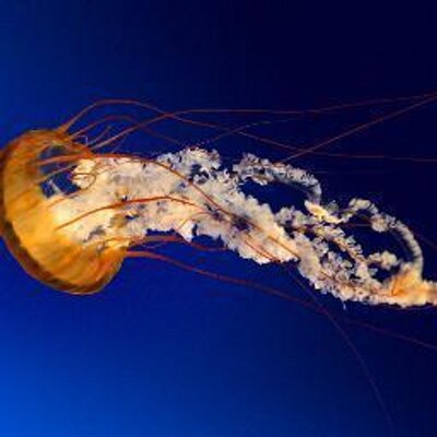 Profile Picture of Bryan Valerio (@bryant5824) on Twitter