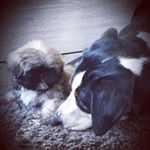 Profile Picture of Richard Keizer (@richard.keizer.77) on Instagram