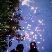 Profile Picture of Allison Yeh (@gotoallison) on Pinterest