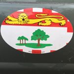 Profile Picture of Stephen MacDonald (@stangusmac) on Instagram