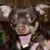 Profile Picture of Dwight Dunbar Jr. (@dwightdunbar) on Pinterest