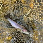 Profile Picture of Julie salinardi (@julies_adventures_2023) on Instagram