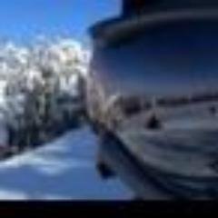 Profile Picture of Chauve (@k_kamada13) on Twitter