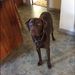 Profile Picture of Ann Ropp (@jdramr2348) on Pinterest