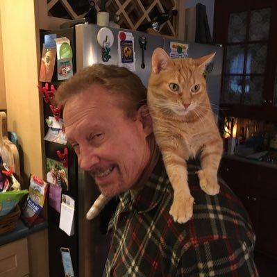 Profile Picture of Joe Nicolo (@JoeyCheez) on Twitter