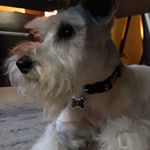 Erick Feliciano - Instagram Profile Picture of Erick Feliciano (@erickjfeliciano) on Instagram