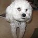 Profile Picture of Lisa Toft (@Lisa-Toft) on Facebook