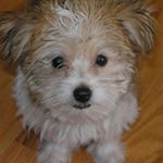 Profile Picture of pam leach (@leach_pam) on Instagram